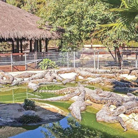 公寓 Amazing In With Internet, Outdoor Swimming Pool And Swimming Pool